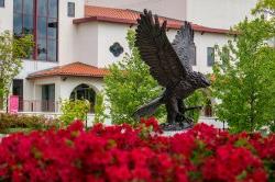 Large, bronze red hawk statue in front of bunches of red flowers.