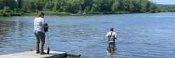 citizen scientists collecting samples